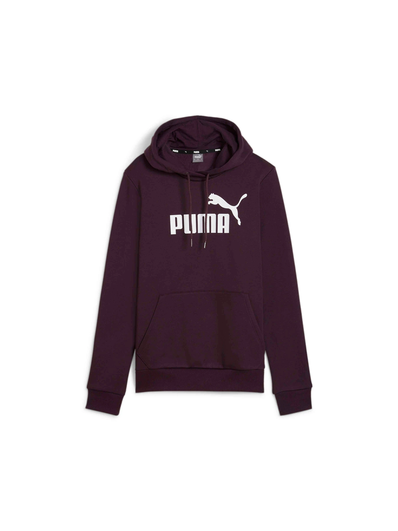 Худі та світшоти PUMA Ess Logo Hoodie Fl модель 586789 Фото