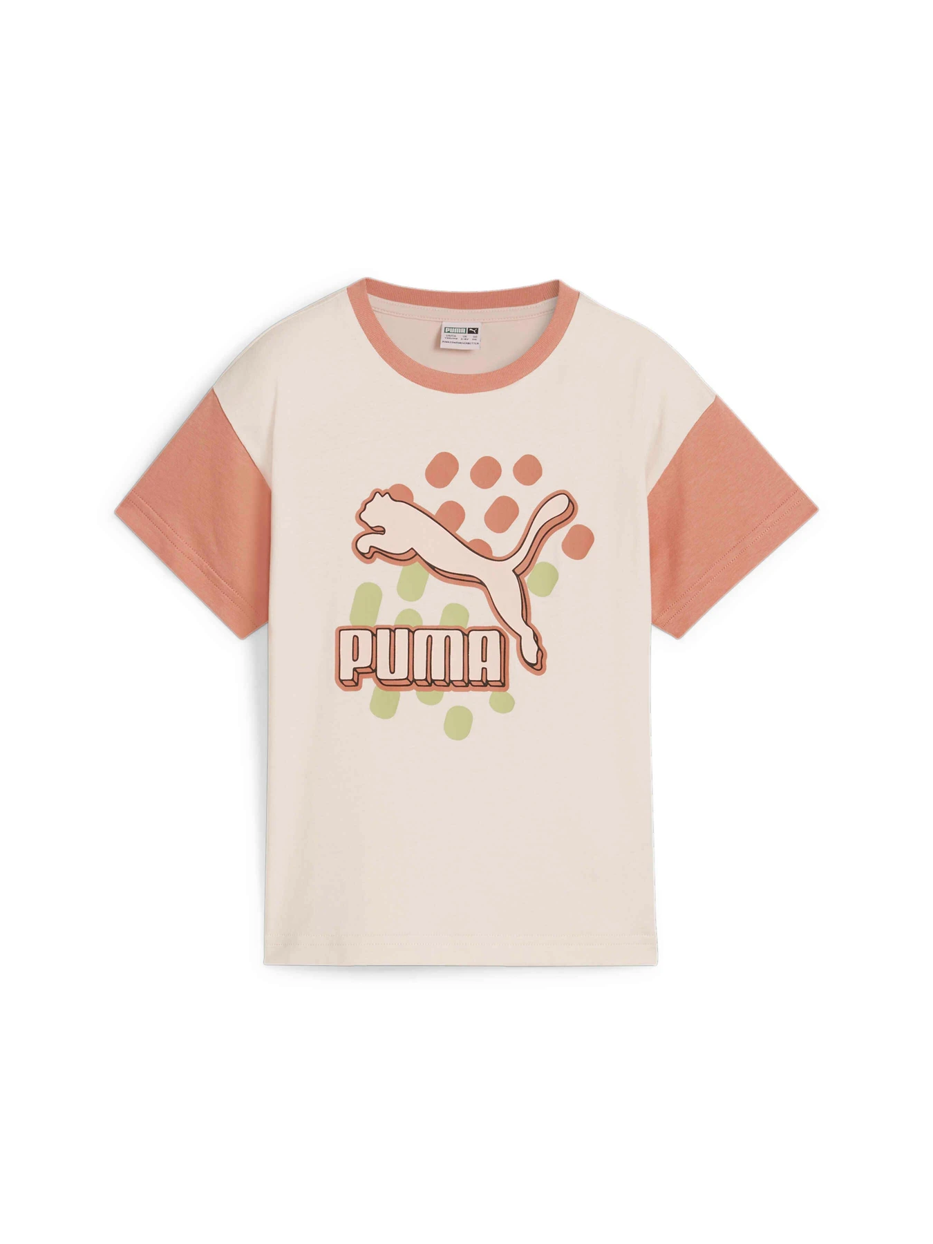 Футболки и поло PUMA Classics Fc Tee модель 626497 Фото