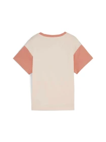 Футболки и поло PUMA Classics Fc Tee модель 626497 Фото
