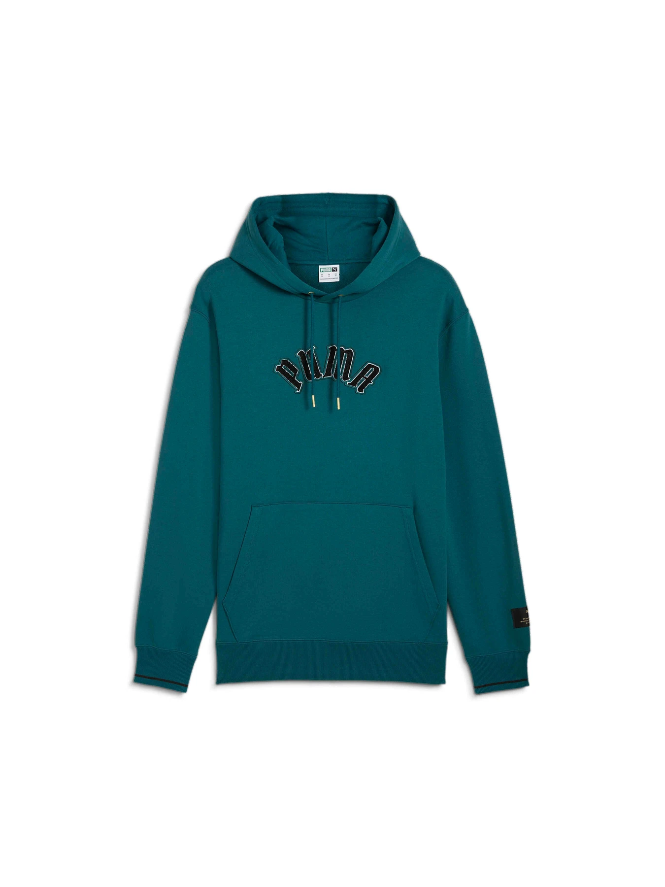 Худі та світшоти PUMA Classics Play.paris. Hoodie модель 626766 Худі та світшоти PUMA Classics Play.paris. Hoodie модель 626766 Фото