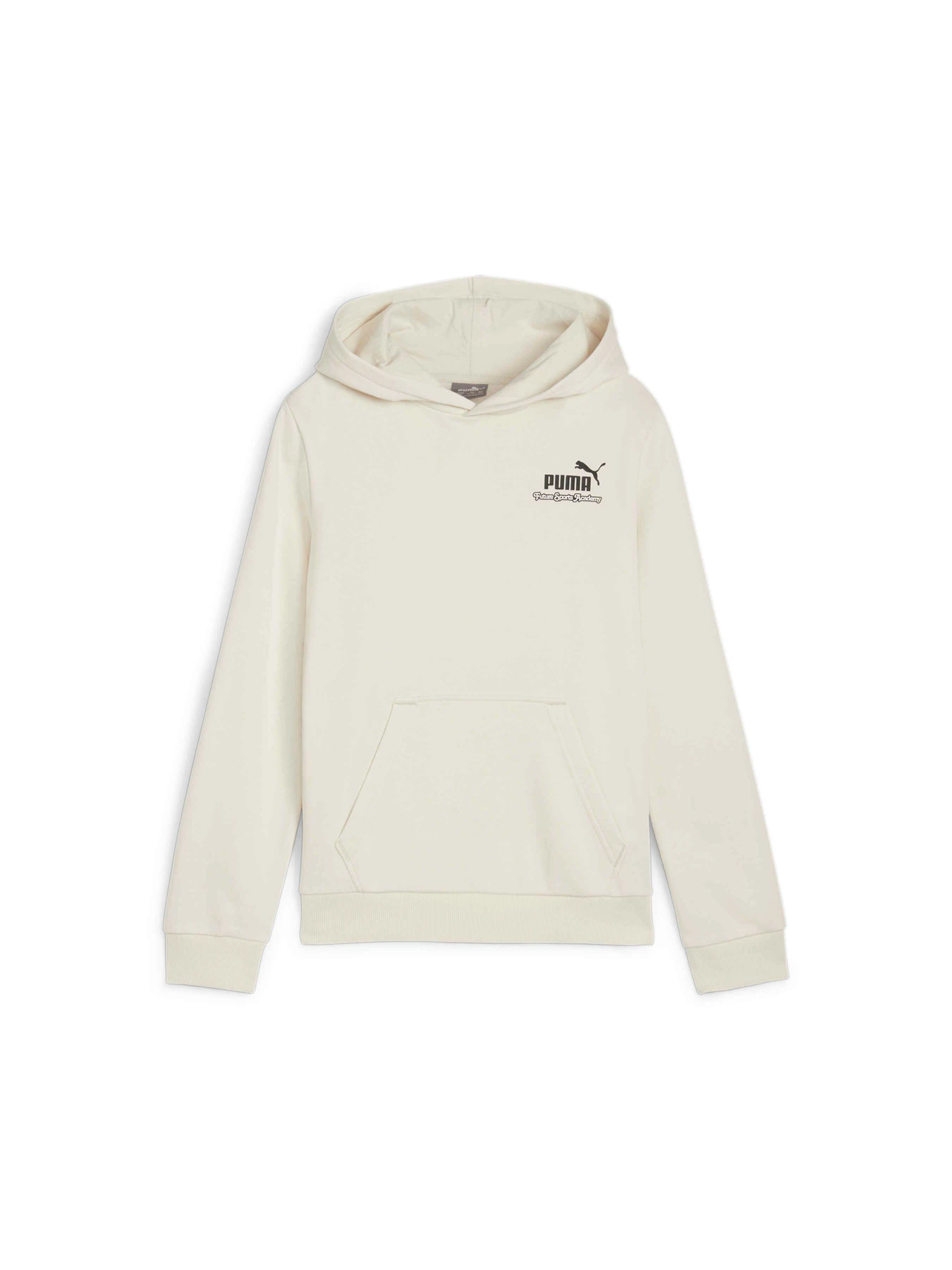 Худи и свитшоты PUMA Ess+ Mid 90s Hoodie модель 679245 Фото