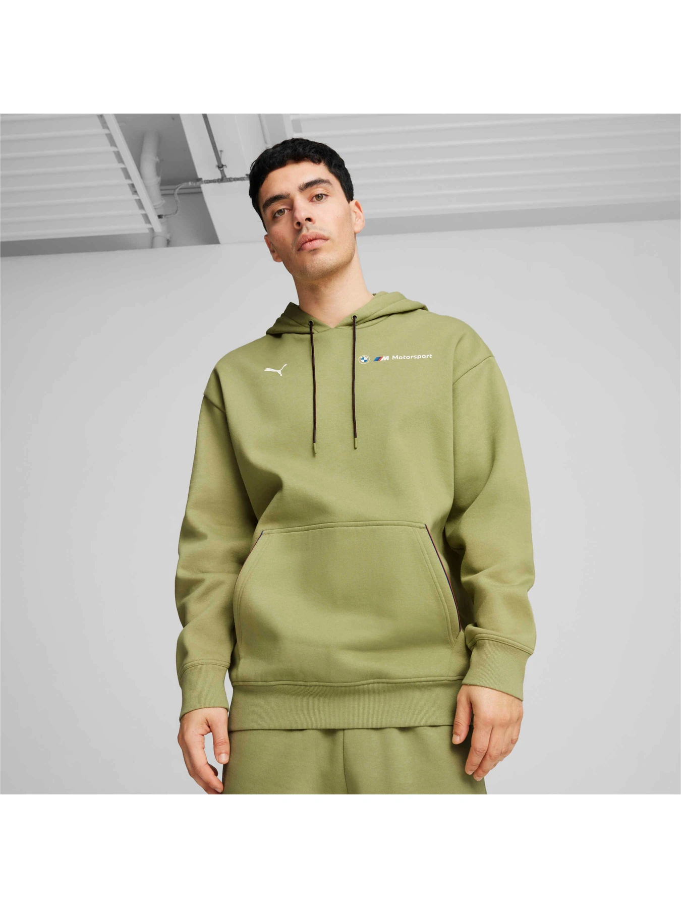 Худи и свитшоты PUMA Bmw Mms Ess+ Hoodie Fleece модель 627498 Фото