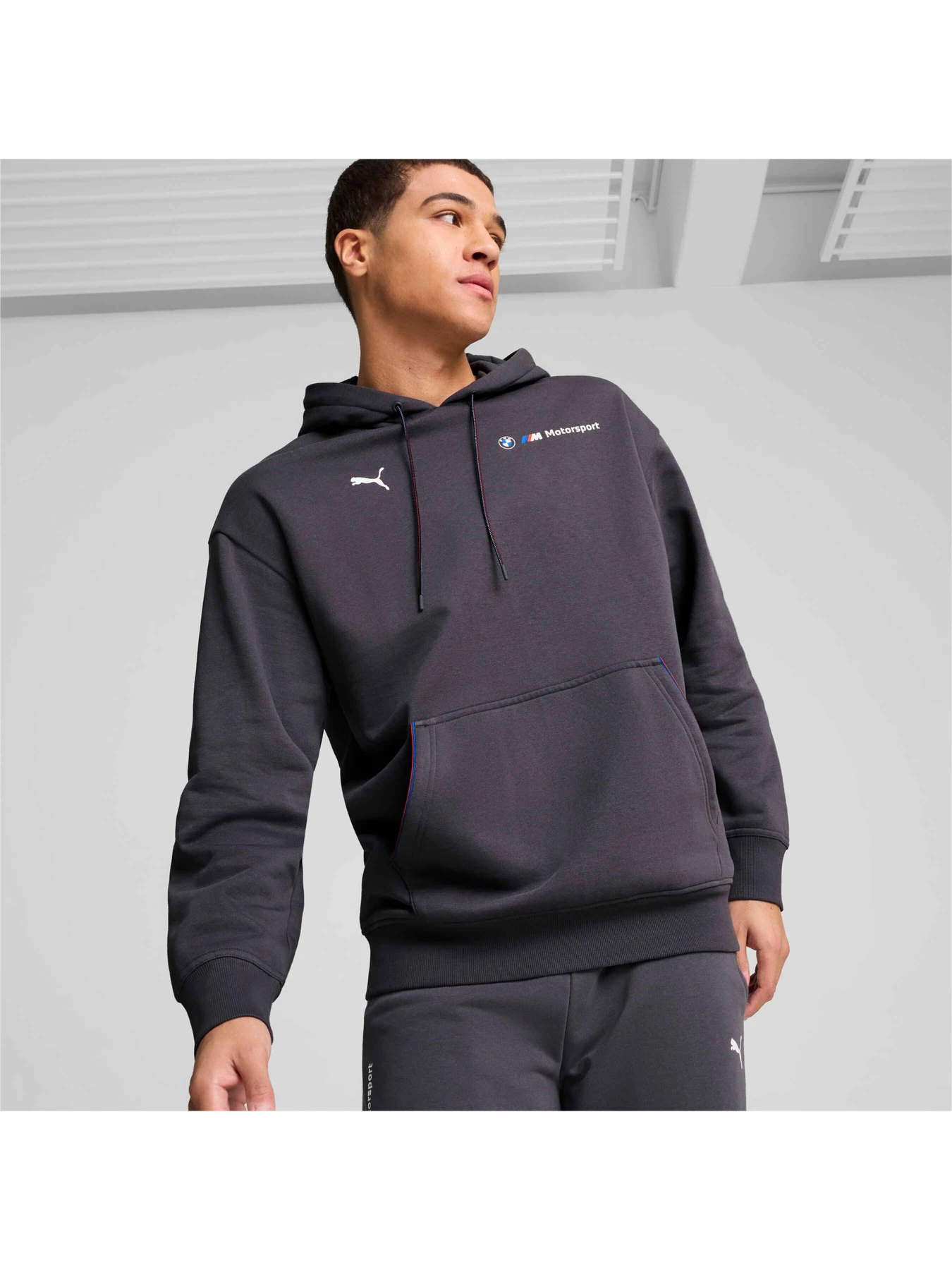 Худи и свитшоты PUMA Bmw Mms Ess+ Hoodie Fleece модель 627498 Фото