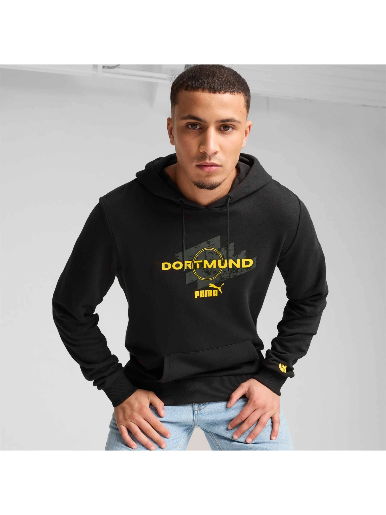 Худи и свитшоты PUMA Bvb Ftblculture Hoodie модель 777743 Худи и свитшоты PUMA Bvb Ftblculture Hoodie модель 777743 Фото