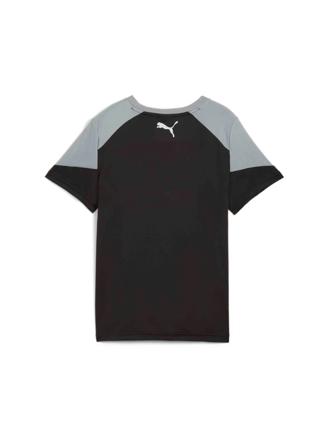 Футболки и поло PUMA Active Sports Poly Tee модель 681810 Футболки и поло PUMA Active Sports Poly Tee модель 681810 Фото