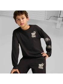 Худи и свитшоты PUMA Ess+ Mid 90s Ls Tee модель 681876 Фото