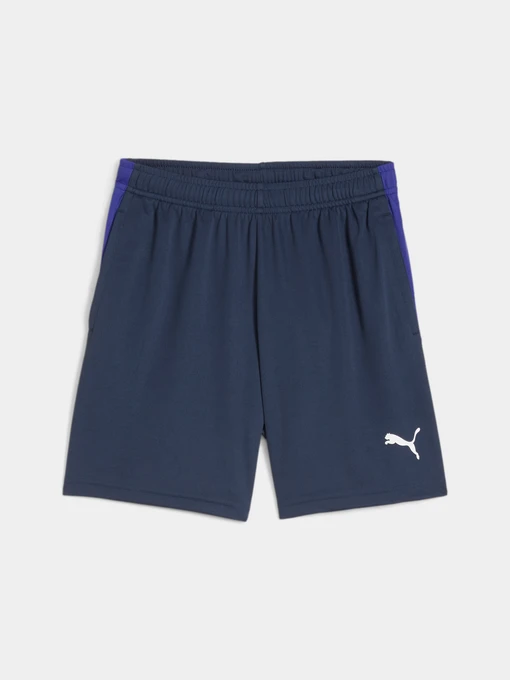 Шорты PUMA Indlliga Training Shorts Jr модель 659521 Фото