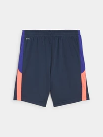 Шорты PUMA Indlliga Training Shorts Jr модель 659521 Фото