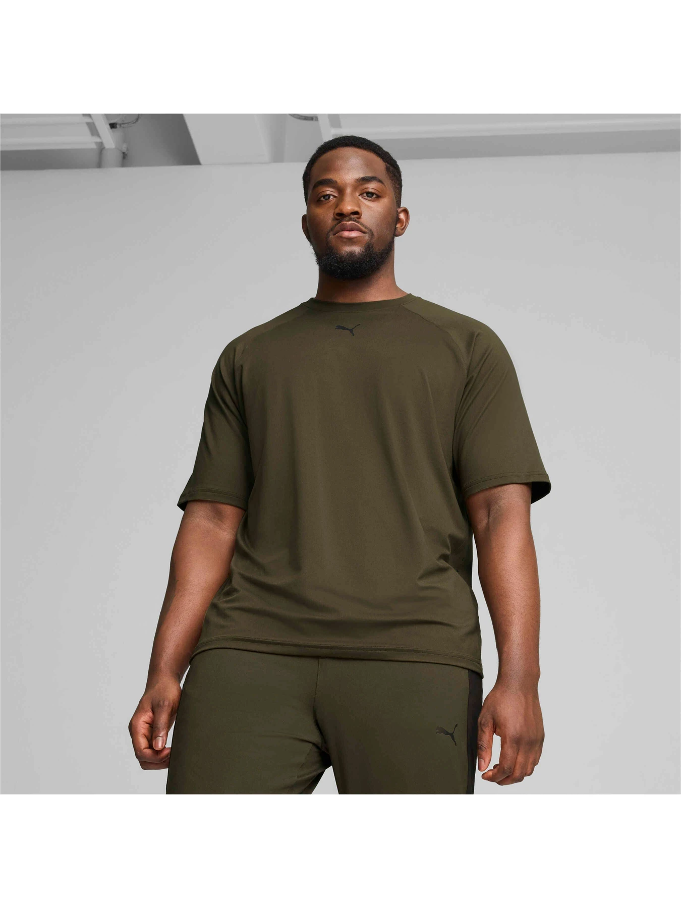 Футболки і поло PUMA Cloudspun Thermoadapt Tee модель 525695 Фото