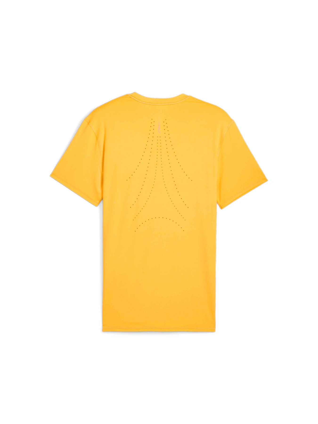 Футболки і поло PUMA Run Cloudspun Ss Tee модель 524989 Фото