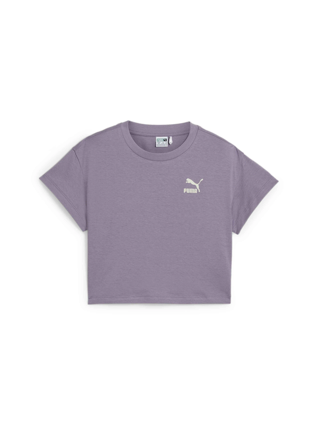 Футболки и поло PUMA Better Classics Tee модель 625067 Футболки и поло PUMA Better Classics Tee модель 625067 Фото