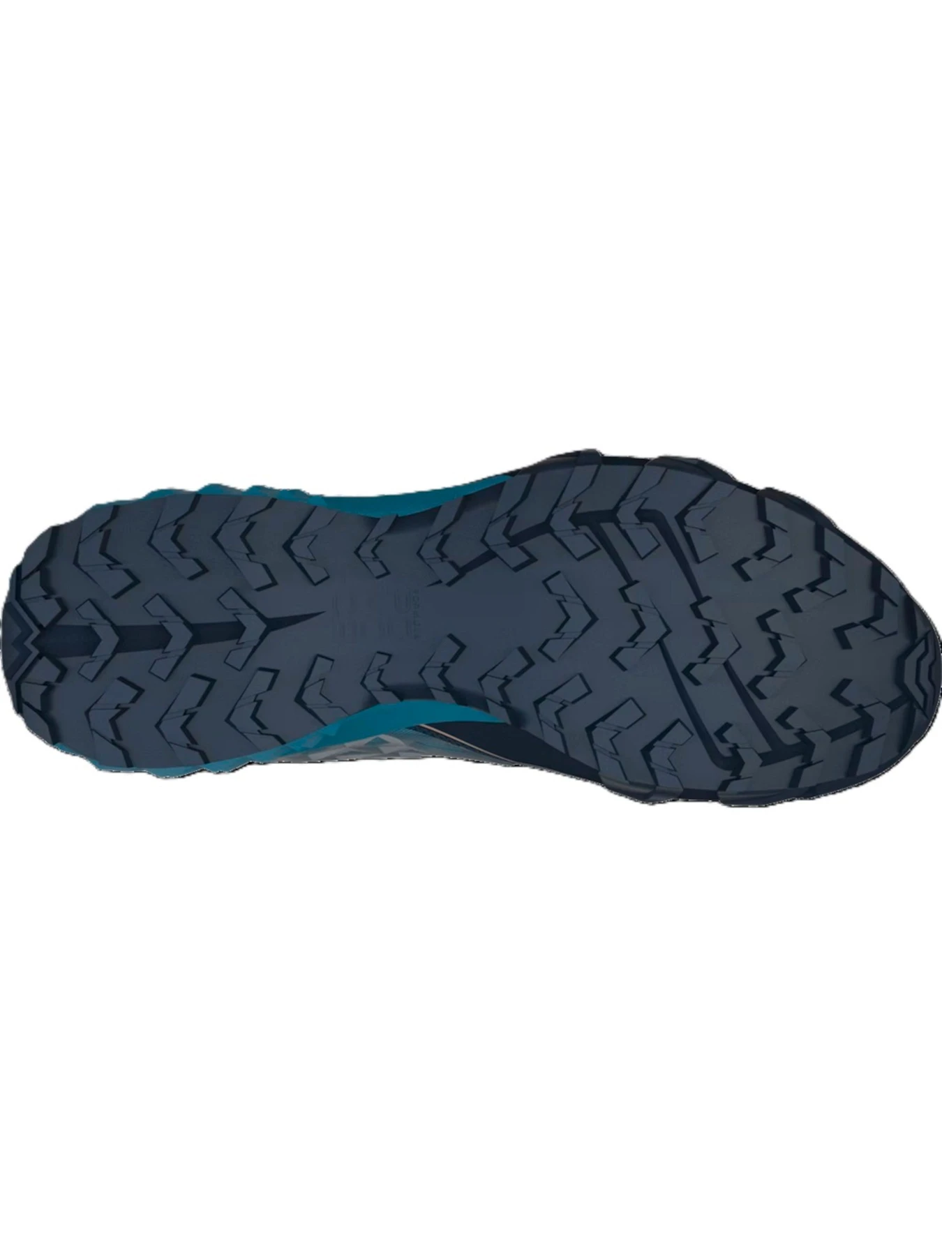 Кроссовки DYNAFIT Feline SL GTX модель 100016464 Кроссовки DYNAFIT Feline SL GTX модель 100016464 Фото