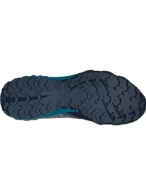 Кроссовки DYNAFIT Feline SL GTX модель 100016464 Фото