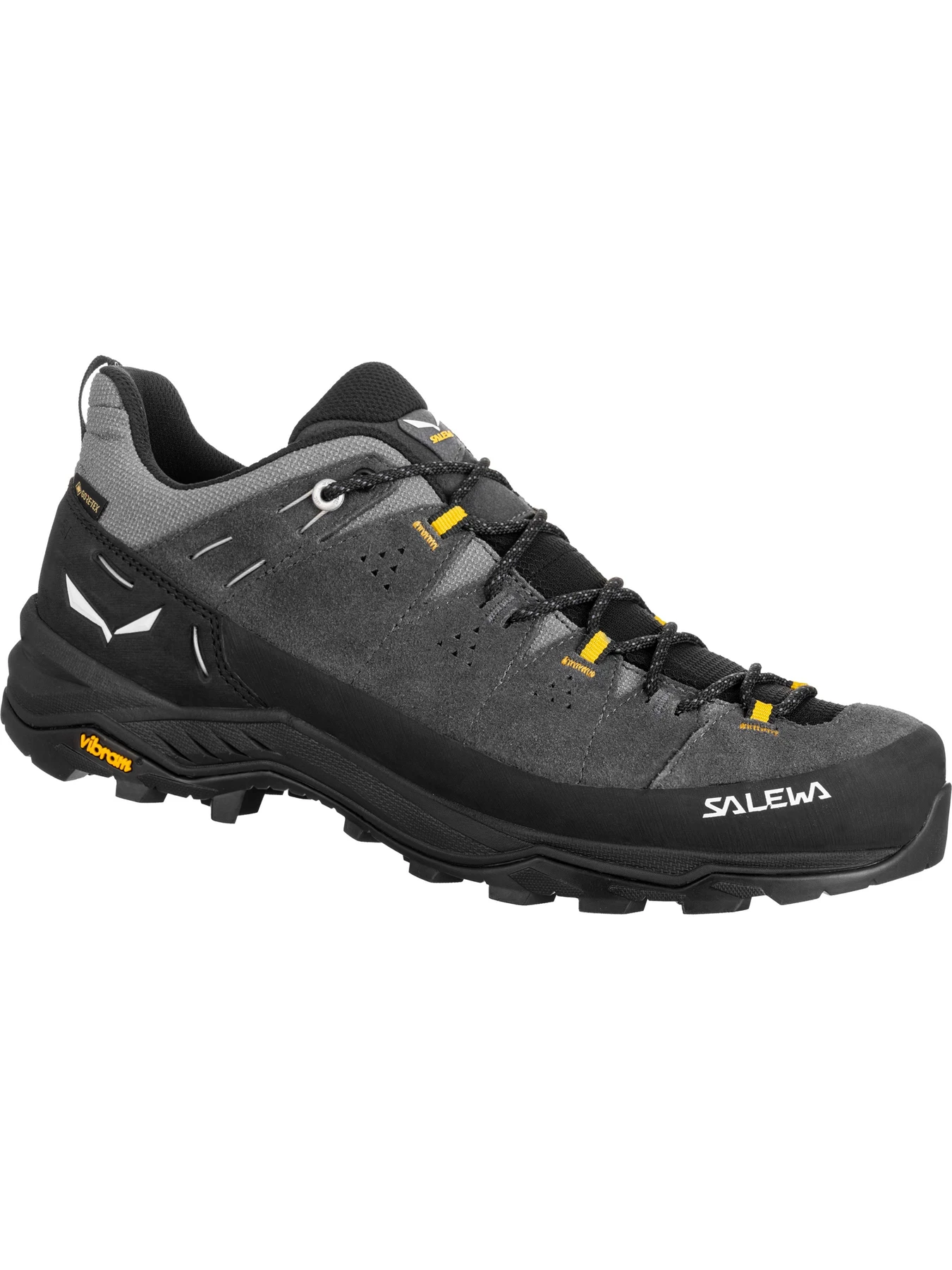 Кросівки Salewa Alp Trainer 2 Gtx модель 100018814 Фото