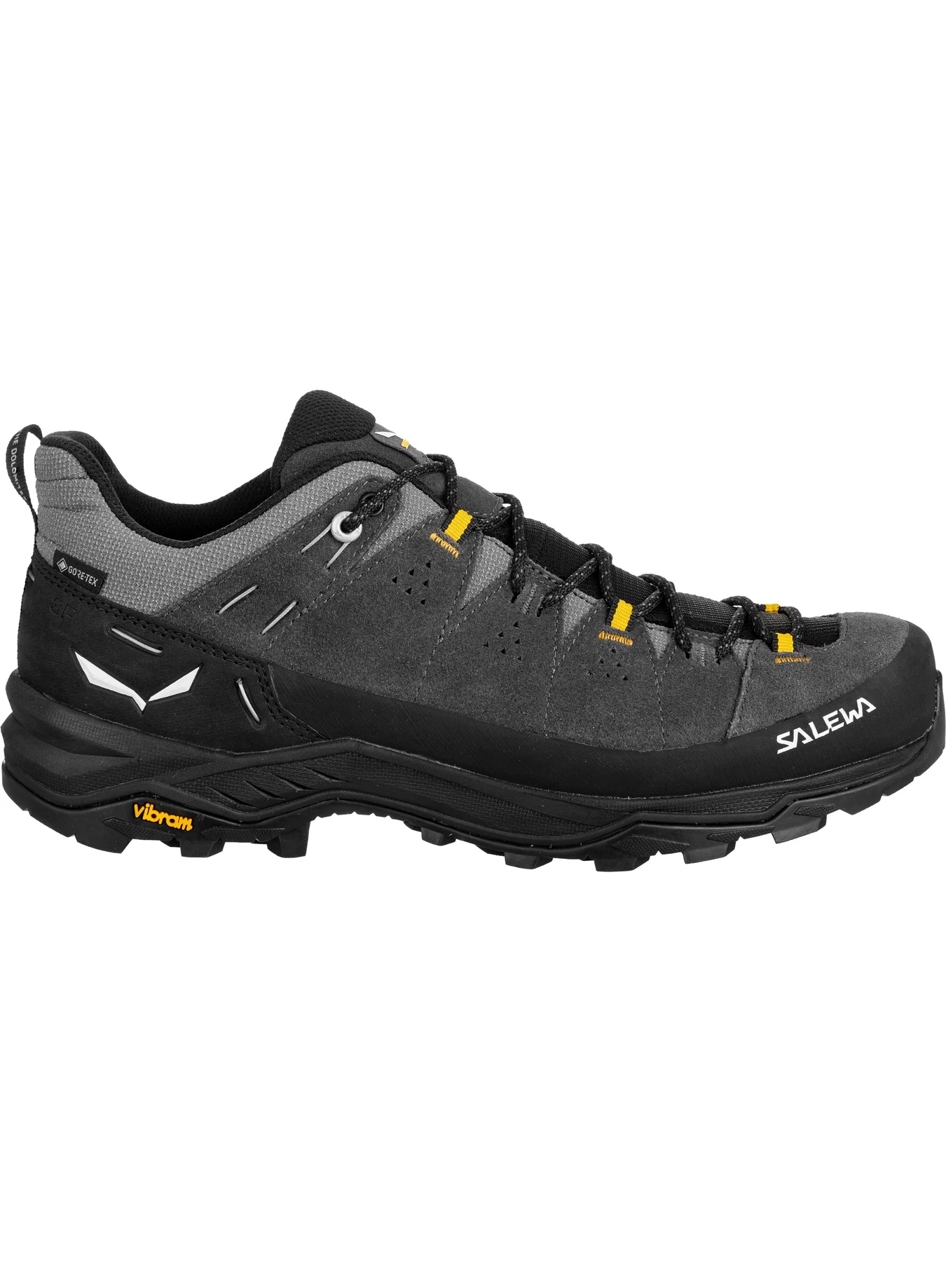 Кросівки Salewa Alp Trainer 2 Gtx модель 100018814 Фото