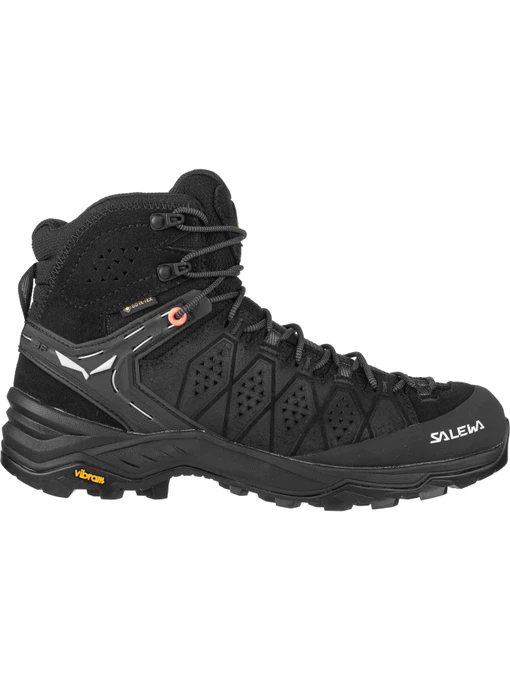 Ботинки и сапоги Salewa Alp Trainer 2 Mid Gtx модель 100027784 Фото
