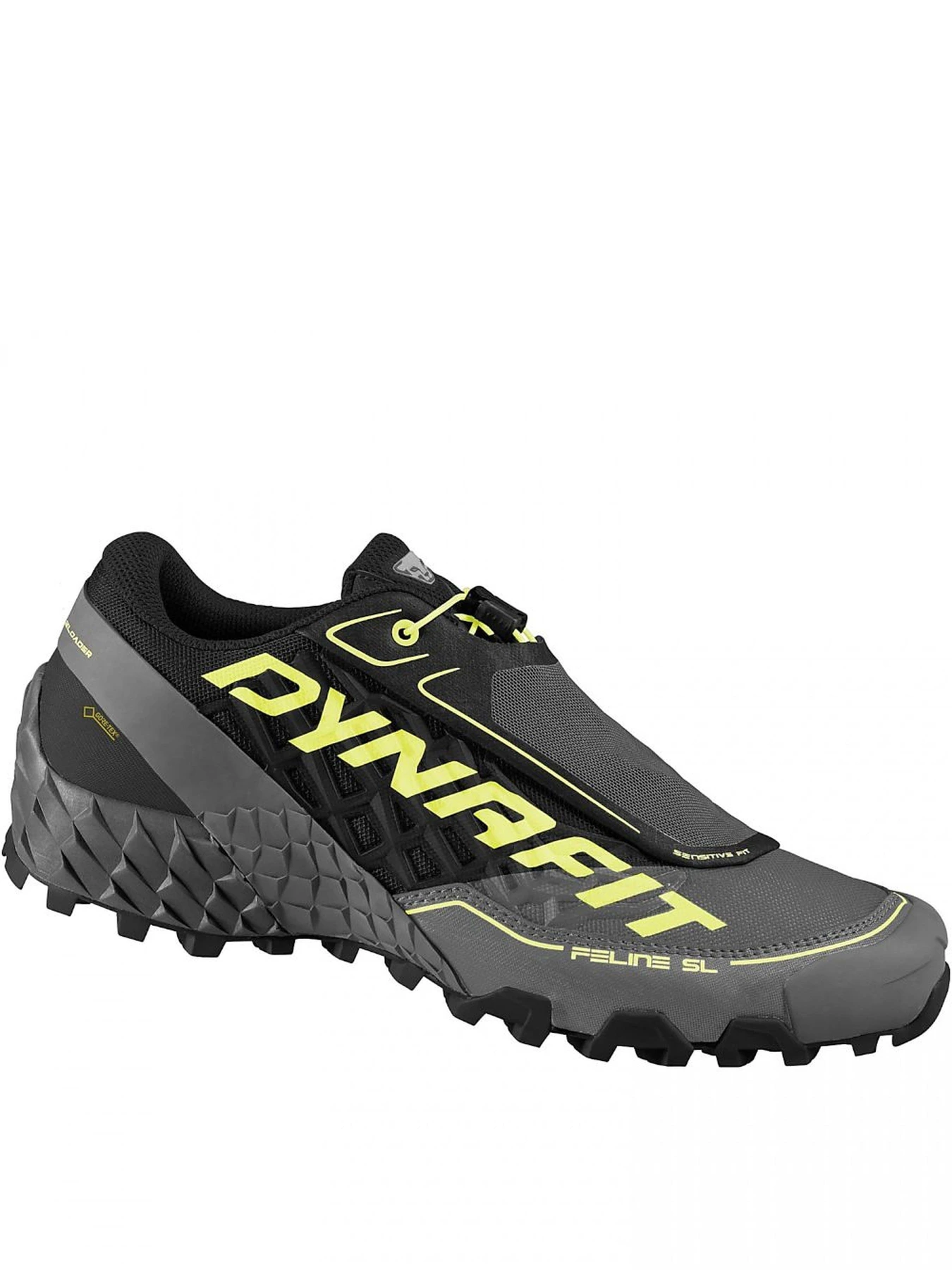 Кроссовки DYNAFIT Feline Sl Gtx Mns модель 100028576 Фото