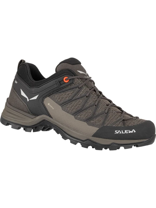 Кросівки Salewa Mtn Trainer Lite Gtx модель 100030817 Фото
