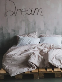 Комплект постельного белья Dream с натурального хлопка ранфорс OWLED модель RB5-5005-D Фото