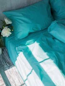 Комплект постільної білизни Tiffany з натуральної бавовни ранфорс OWLED модель RB5-5005-T Фото