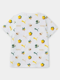 Футболки и поло PUMA Small World Tee модель 670888 Фото