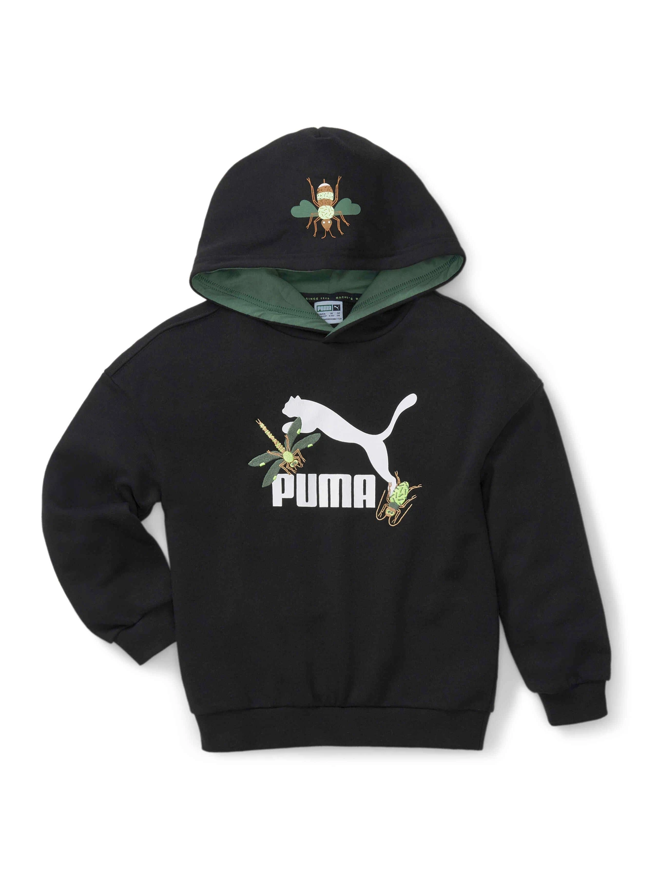Худи и свитшоты PUMA Small World Hoodie модель 670135 Фото