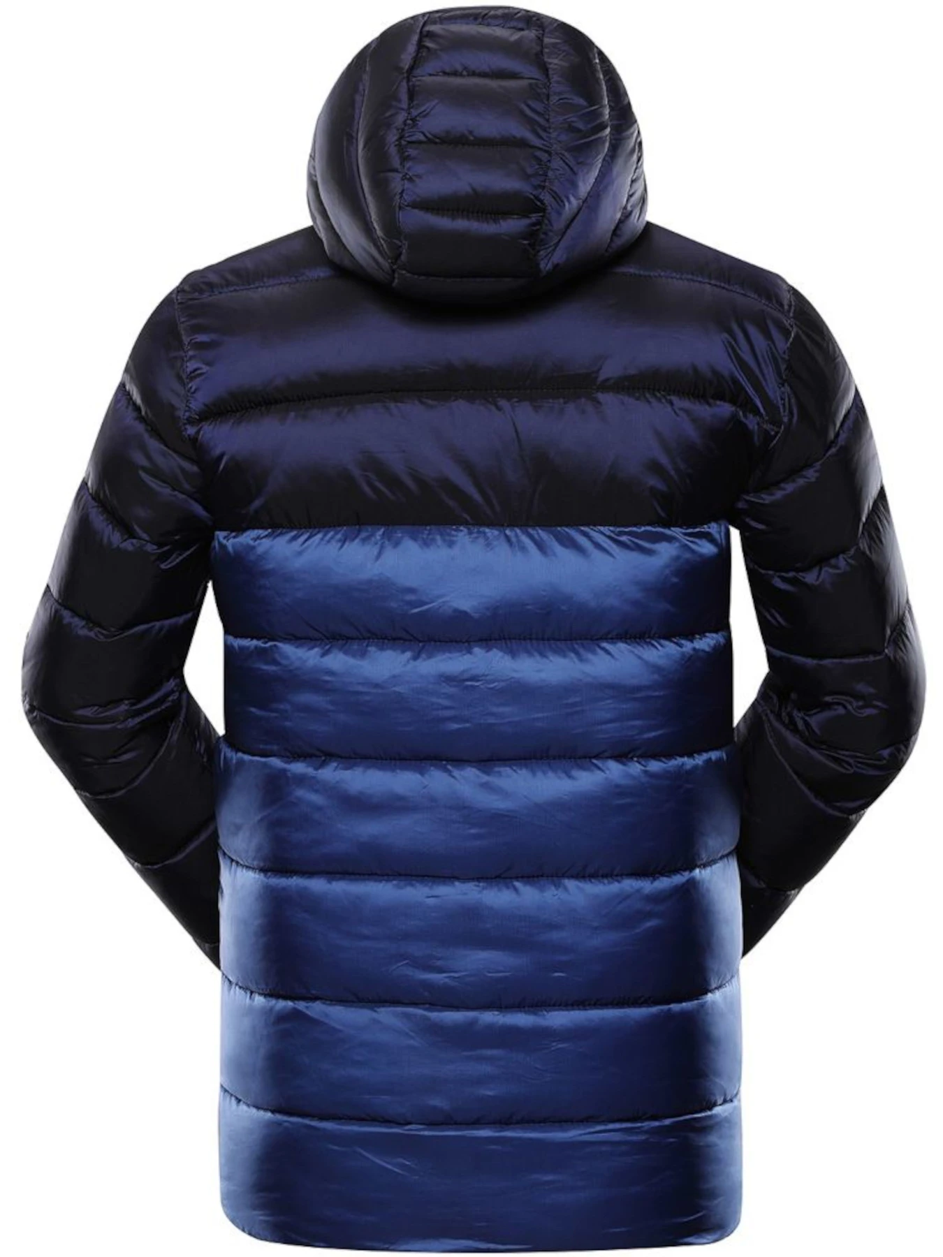 Куртки и дубленки ALPINE PRO Kish модель 100030978 Куртки и дубленки ALPINE PRO Kish модель 100030978 Фото