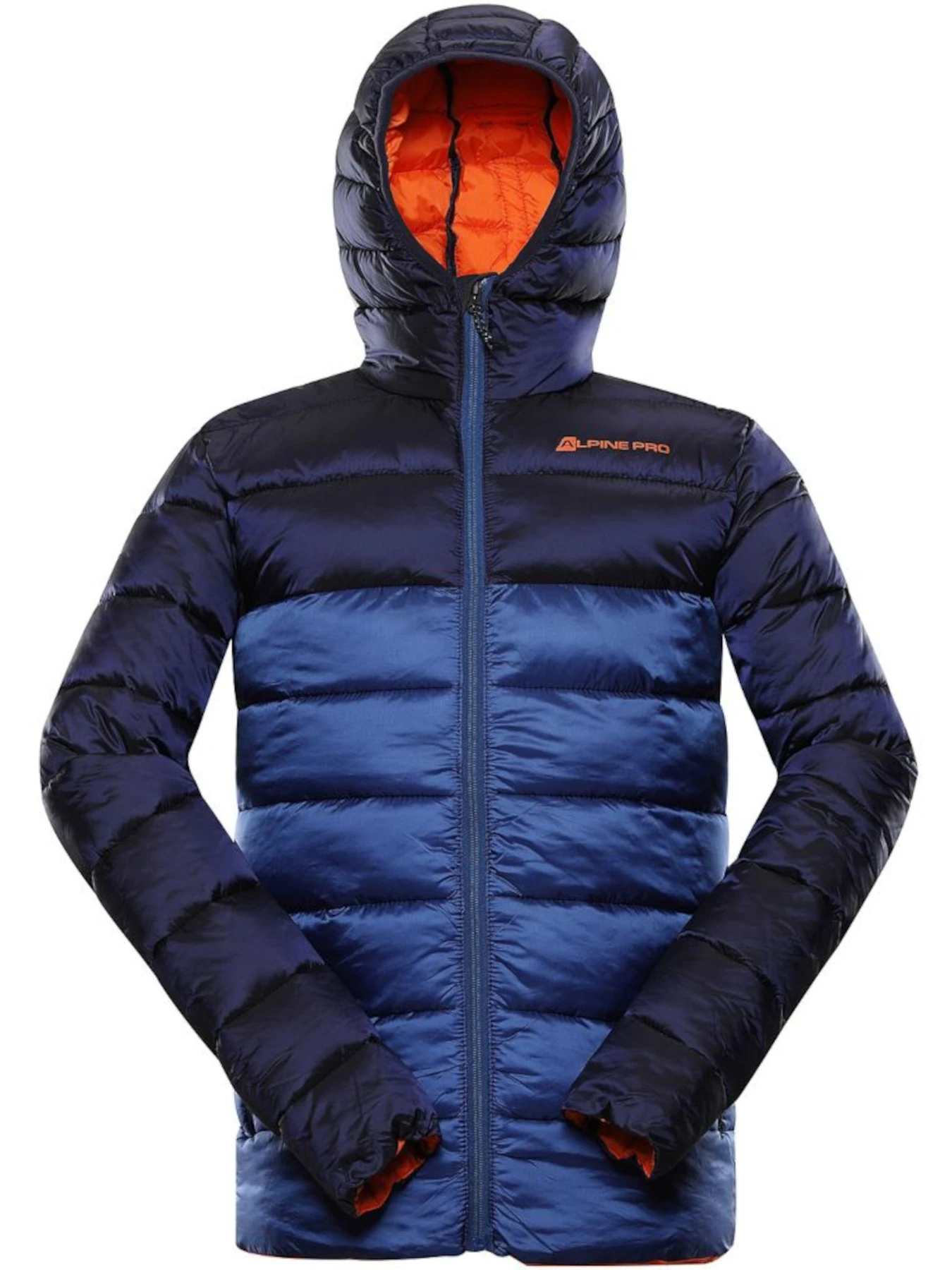 Куртки и дубленки ALPINE PRO Kish модель 100030978 Куртки и дубленки ALPINE PRO Kish модель 100030978 Фото