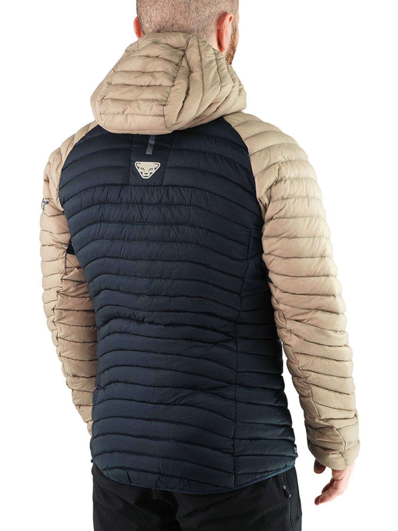 Куртки та дублянки DYNAFIT Radical Dwn Hood Jkt модель 100024612 Куртки та дублянки DYNAFIT Radical Dwn Hood Jkt модель 100024612 Фото