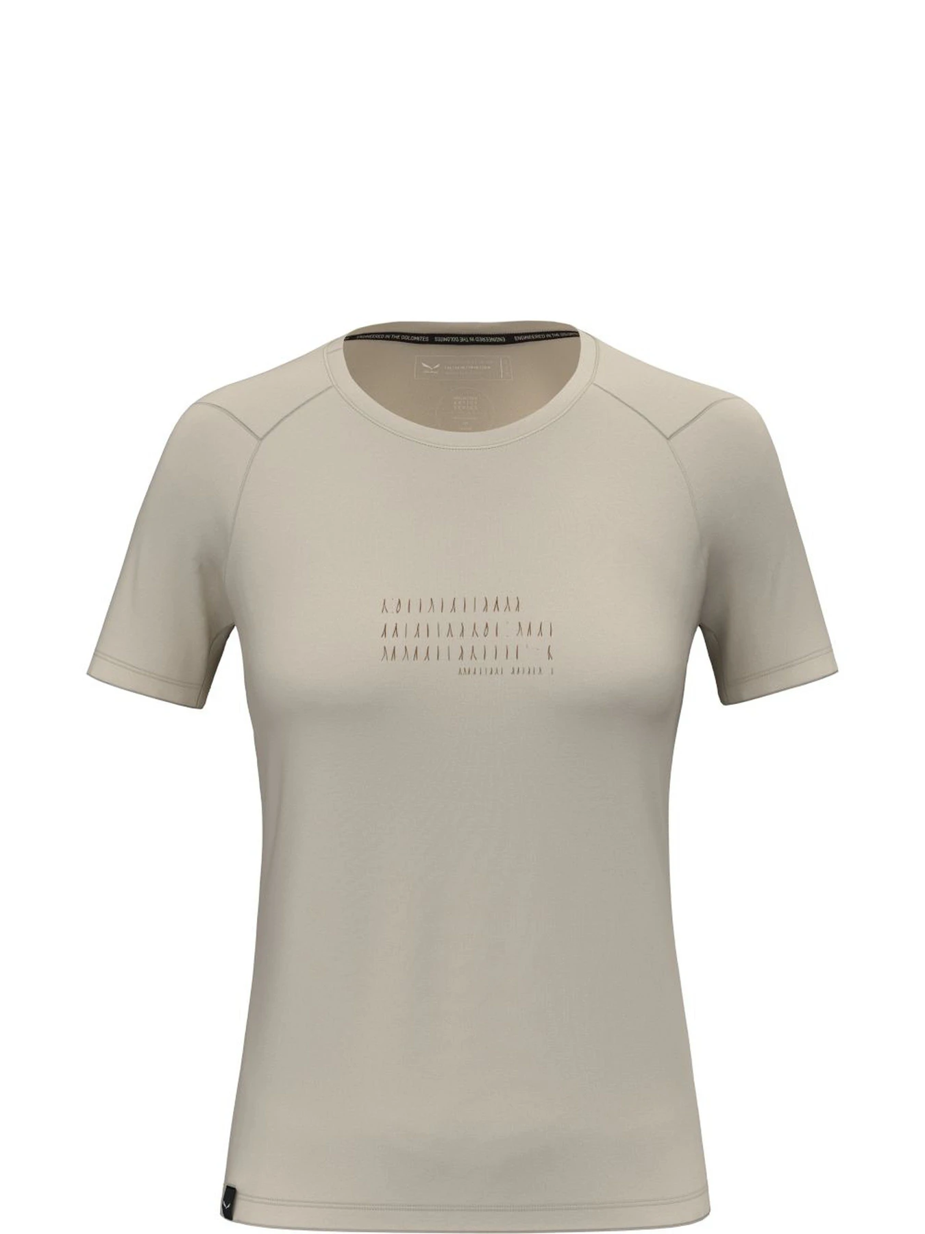 Футболки и поло Salewa Eagle Poem Dry T-Shirt модель 100073118 Фото