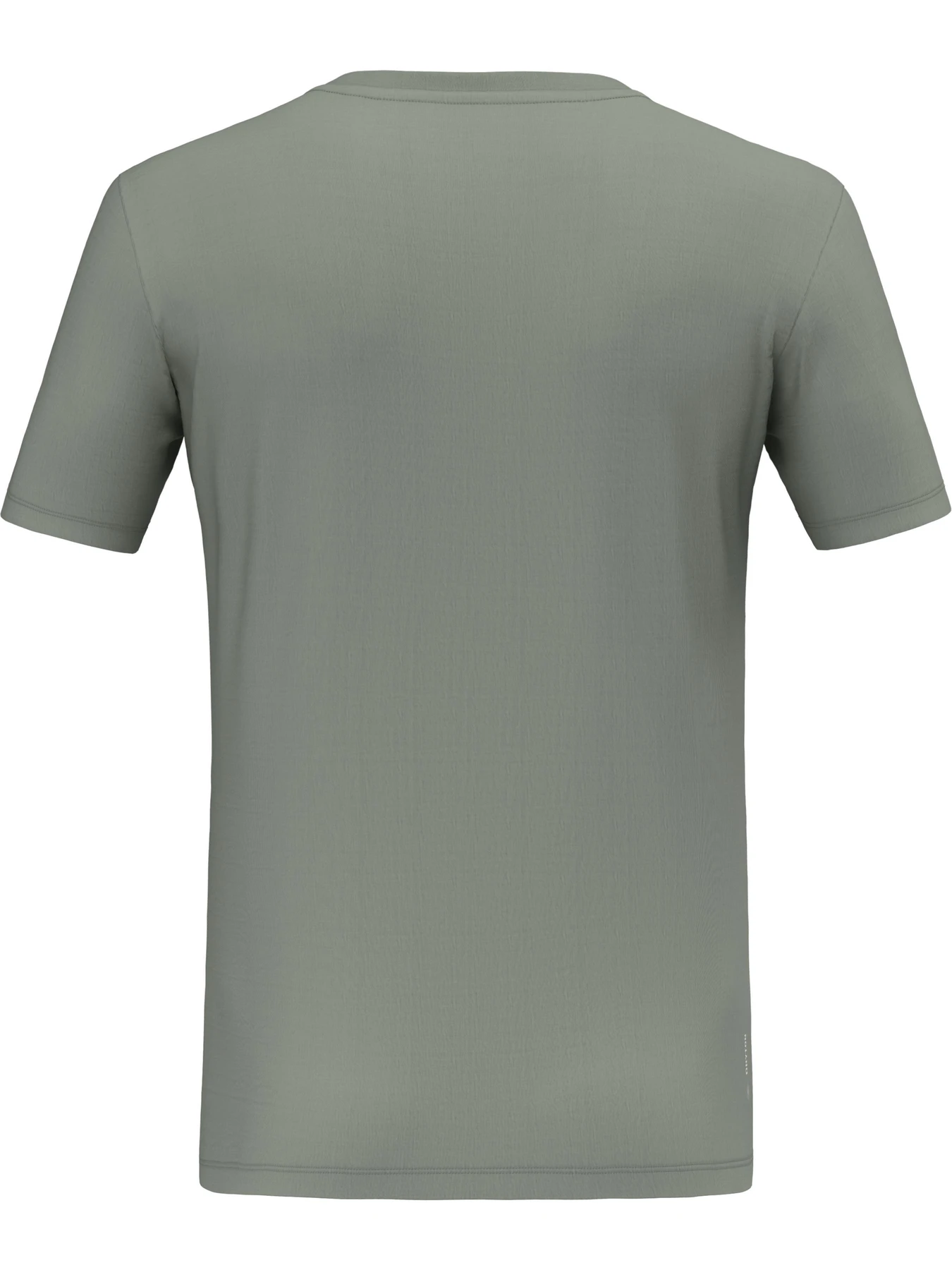 Футболки и поло Salewa Eagle Poem Dry T-Shirt модель 100073211 Футболки и поло Salewa Eagle Poem Dry T-Shirt модель 100073211 Фото