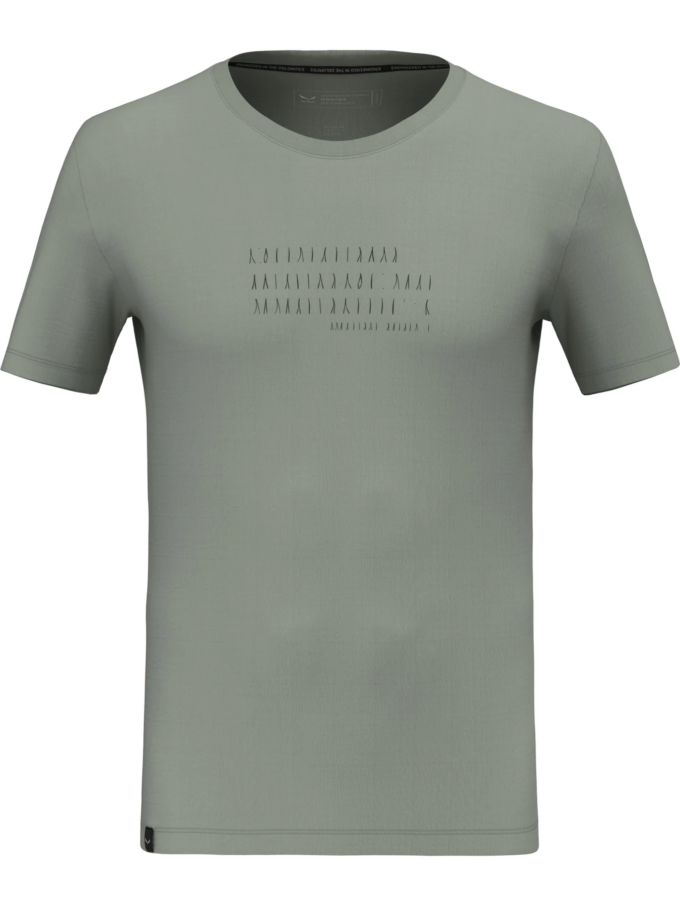 Футболки и поло Salewa Eagle Poem Dry T-Shirt модель 100073211 Футболки и поло Salewa Eagle Poem Dry T-Shirt модель 100073211 Фото