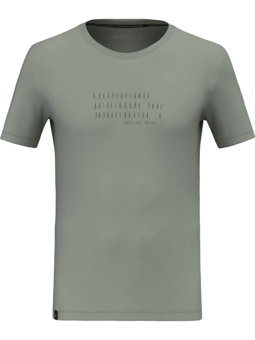 Футболки и поло Salewa Eagle Poem Dry T-Shirt модель 100073211 Фото