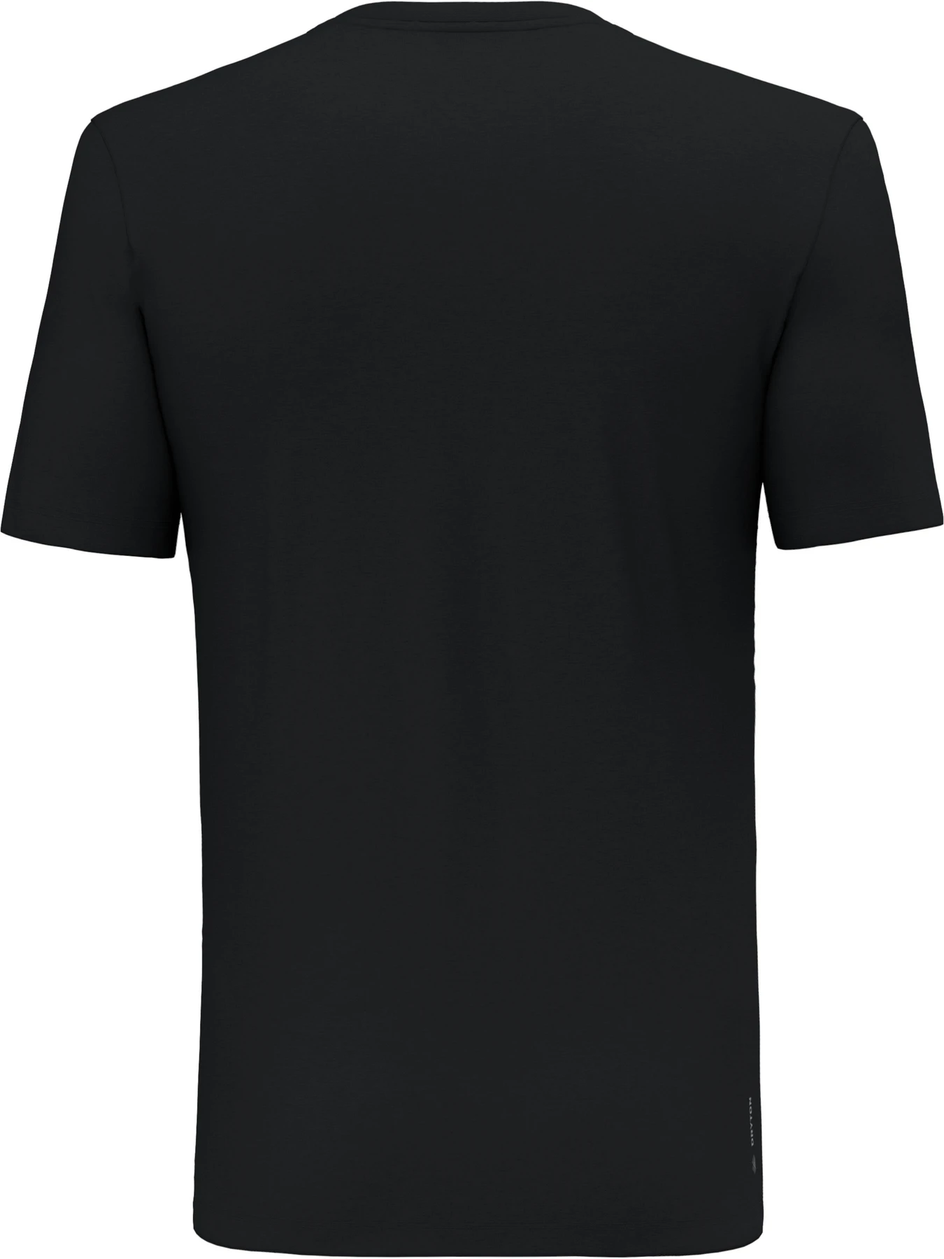 Футболки и поло Salewa Pure Eagle Frame Dry T-shirt модель 100073160 Футболки и поло Salewa Pure Eagle Frame Dry T-shirt модель 100073160 Фото