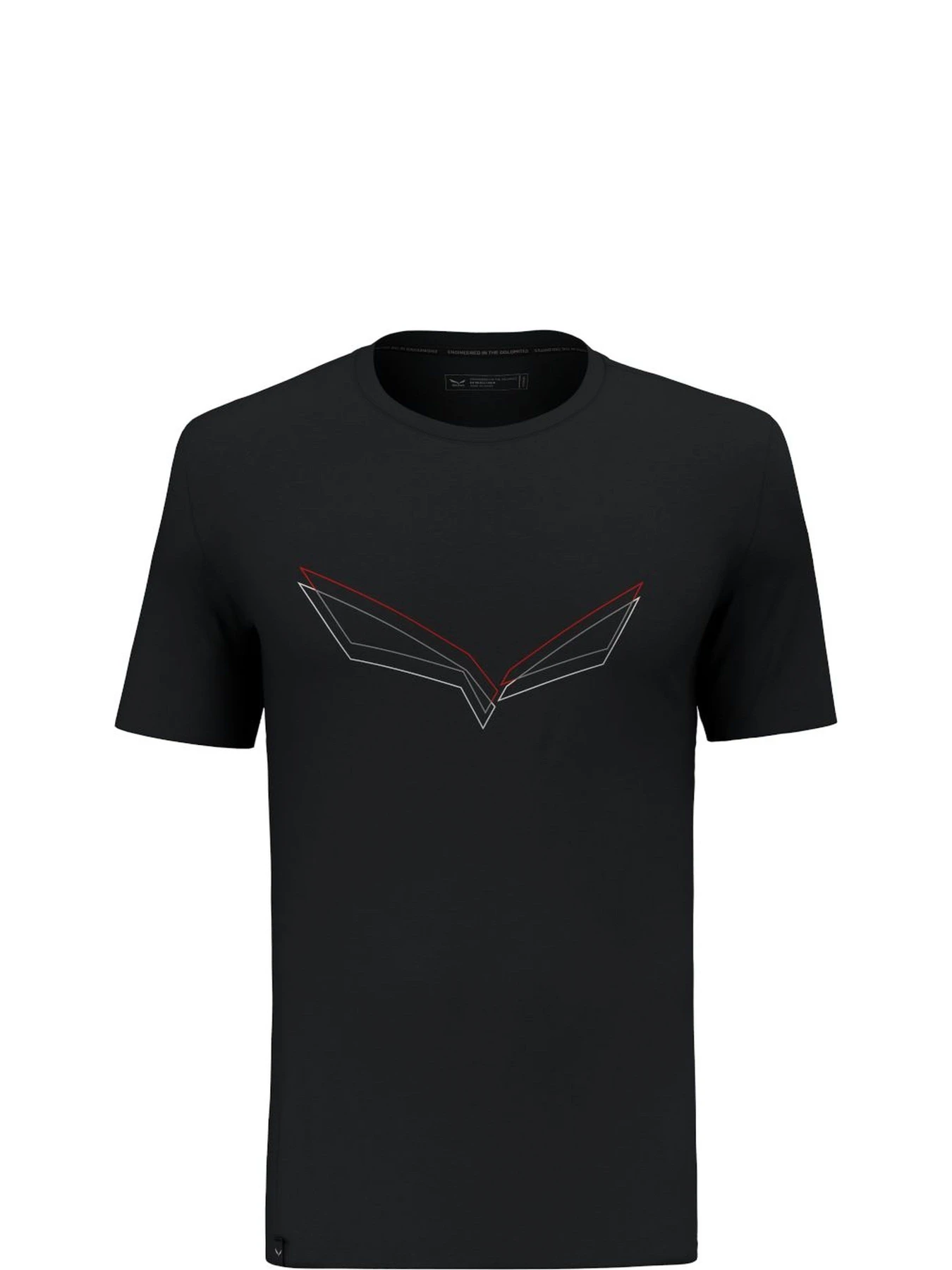 Футболки и поло Salewa Pure Eagle Frame Dry T-shirt модель 100073160 Футболки и поло Salewa Pure Eagle Frame Dry T-shirt модель 100073160 Фото