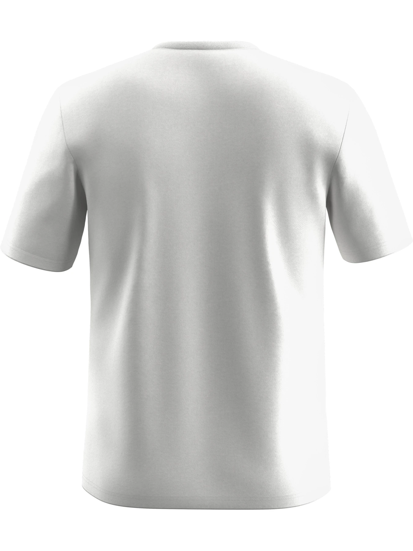 Футболки и поло Salewa Solidlogo Dri-Release Tee модель 100065735 Футболки и поло Salewa Solidlogo Dri-Release Tee модель 100065735 Фото