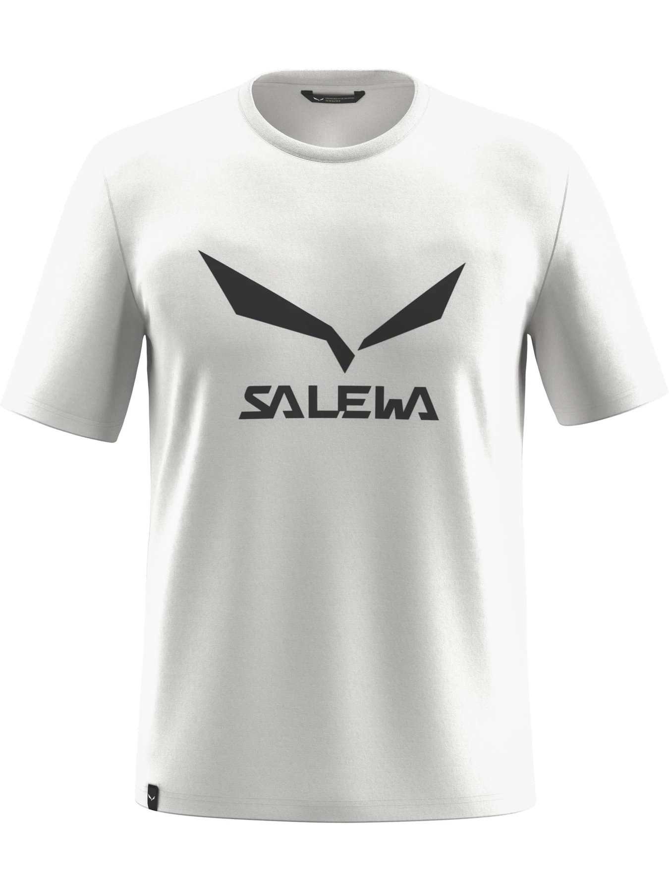 Футболки и поло Salewa Solidlogo Dri-Release Tee модель 100065735 Футболки и поло Salewa Solidlogo Dri-Release Tee модель 100065735 Фото