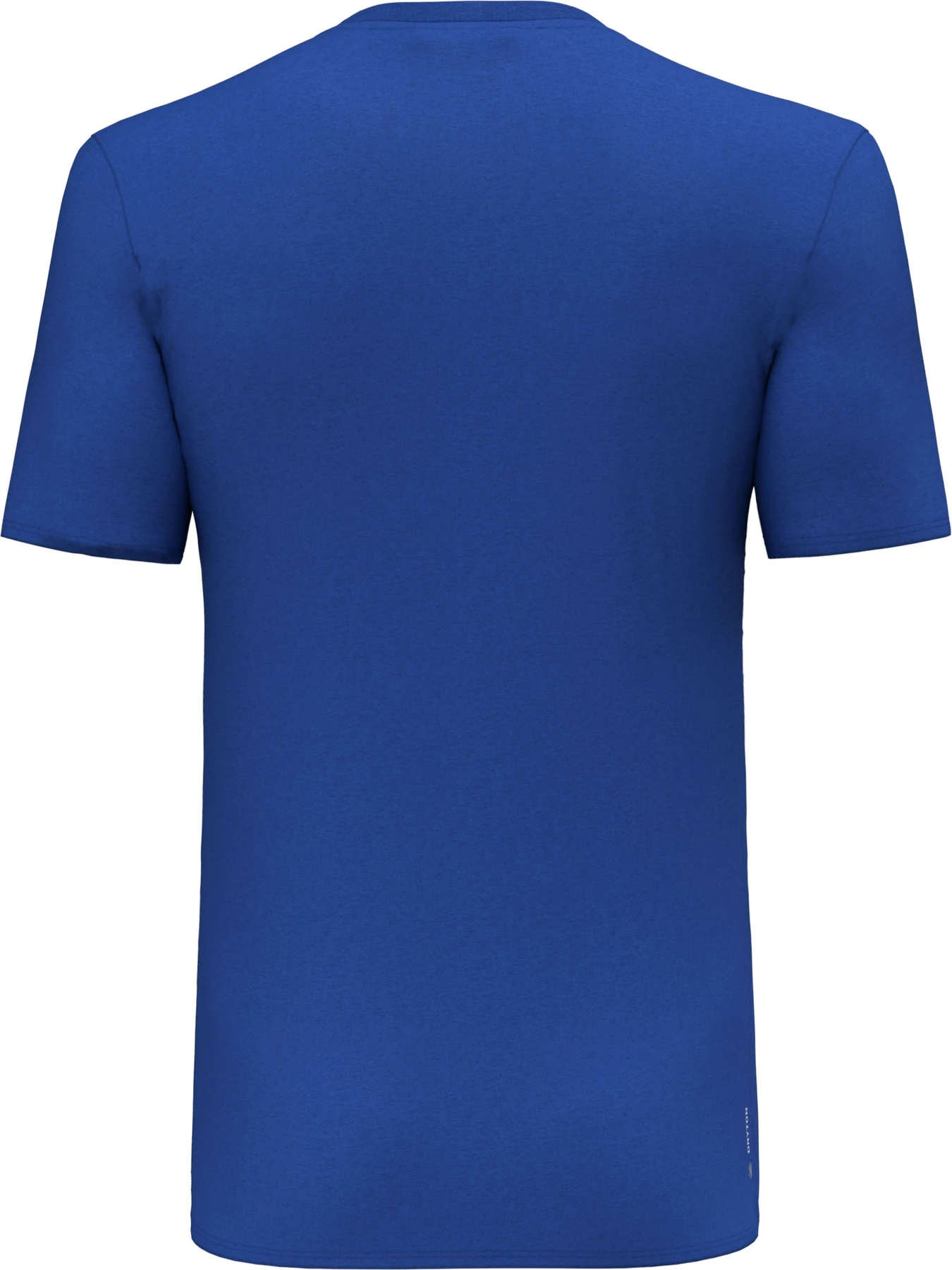 Футболки и поло Salewa Solidlogo Dri-Release Tee модель 100068607 Футболки и поло Salewa Solidlogo Dri-Release Tee модель 100068607 Фото