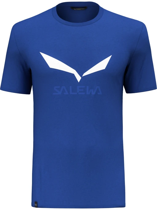 Футболки и поло Salewa Solidlogo Dri-Release Tee модель 100068607 Фото