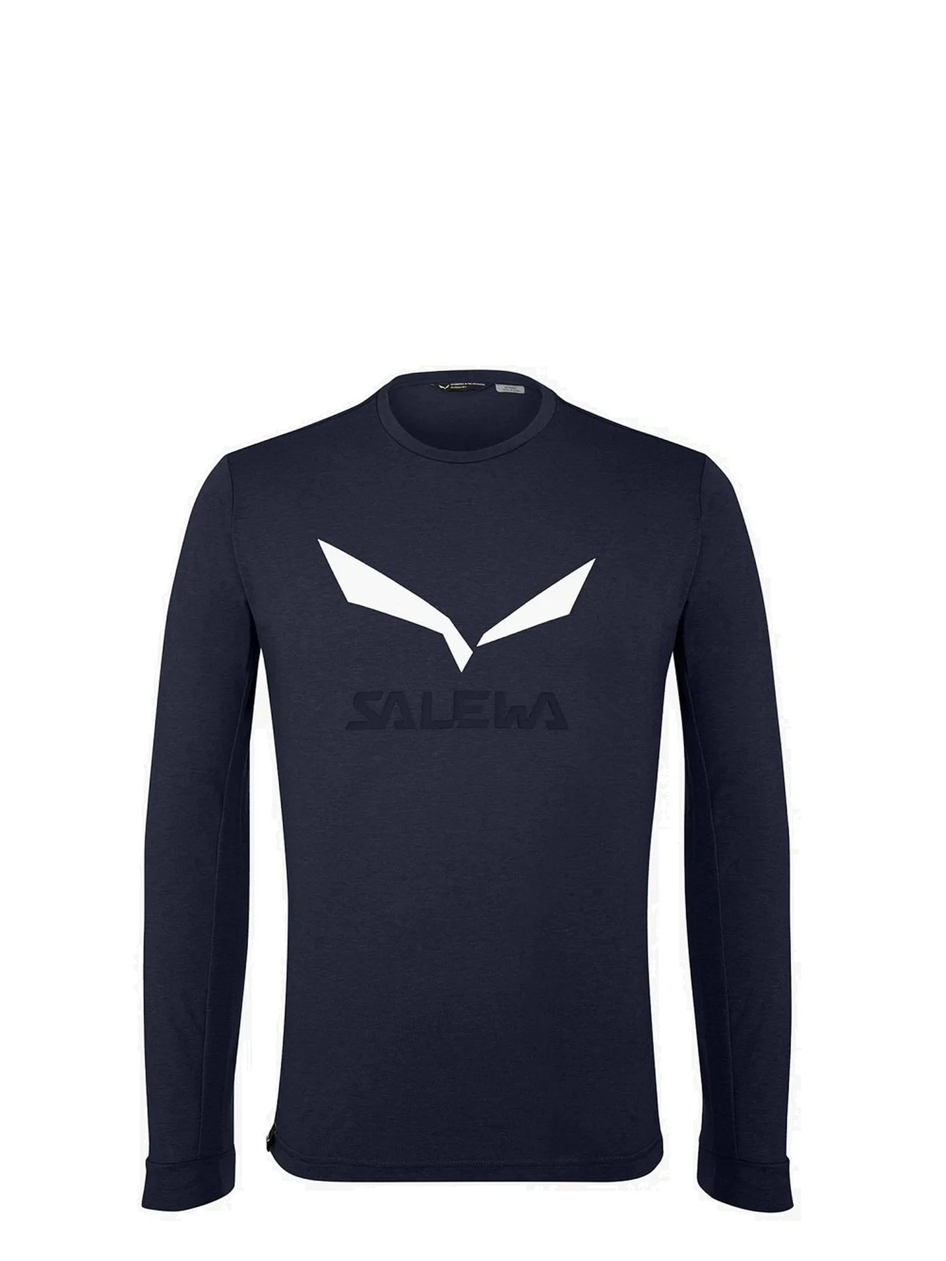 Худи и свитшоты Salewa Solidlogo Dry Tee модель 100072416 Худи и свитшоты Salewa Solidlogo Dry Tee модель 100072416 Фото