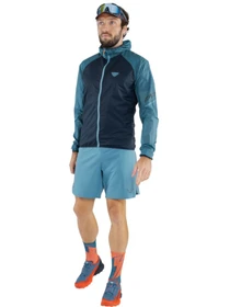 Шорты DYNAFIT Alpine Shorts модель 100064899 Фото