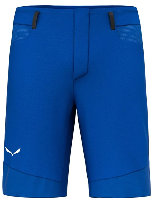 Шорти Salewa Agner Dst Shorts модель 100068642 Фото