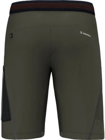 Шорты Salewa Pedroc 3 Dst Cargo Shorts модель 100073321 Фото