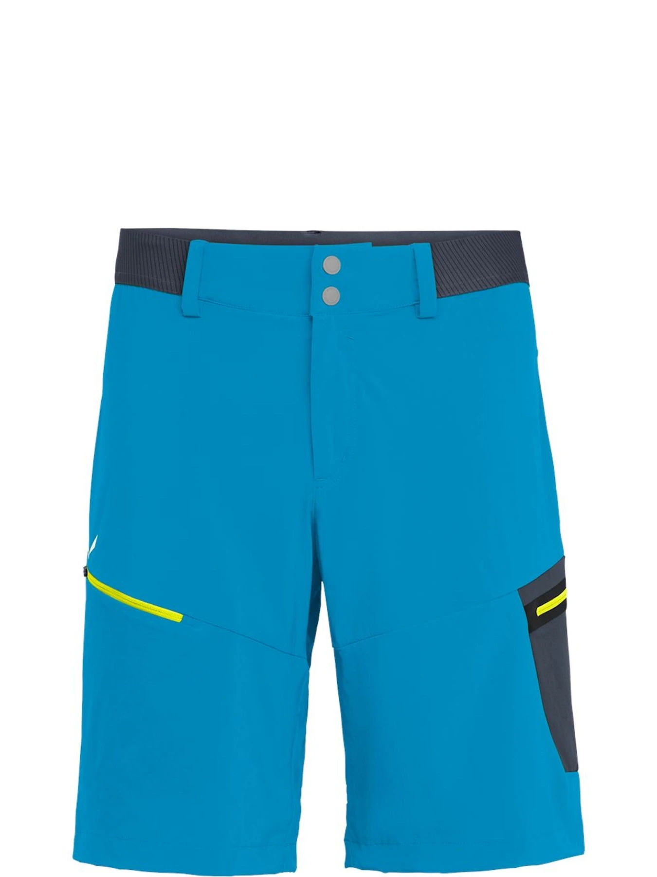 Шорты Salewa Pedroc Cargo 2 Dst Shorts модель 100058193 Фото
