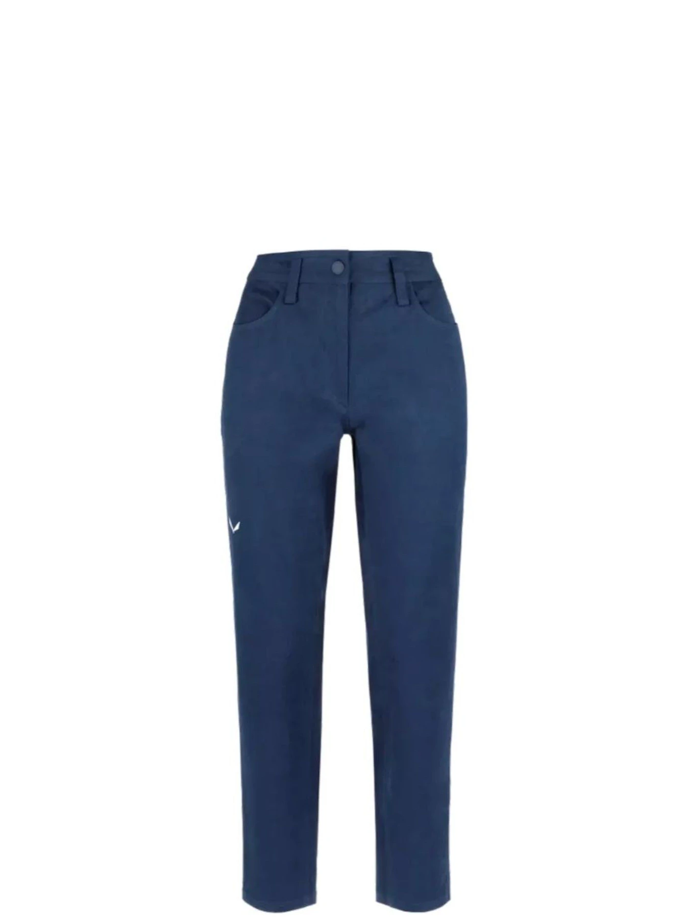 Брюки Salewa Fanes Hemp Pnt модель 100073809 Фото