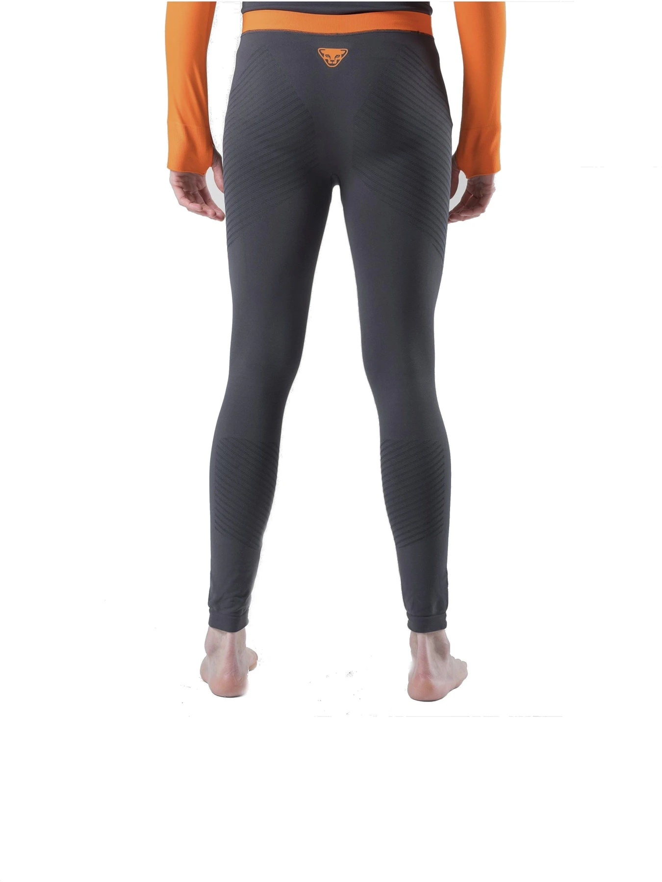 Брюки DYNAFIT FT Dryarn Warm Tight модель 100030659 Брюки DYNAFIT FT Dryarn Warm Tight модель 100030659 Фото
