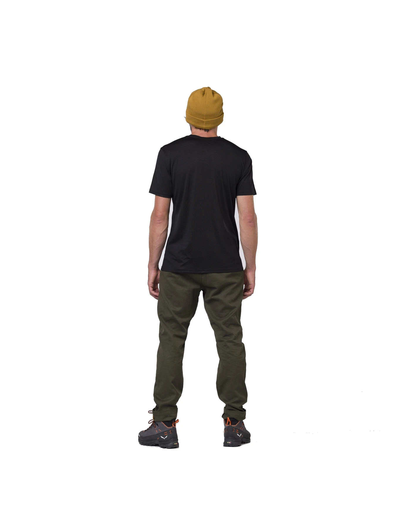Брюки Salewa Fanes Hemp Pnt модель 100006501 Брюки Salewa Fanes Hemp Pnt модель 100006501 Фото