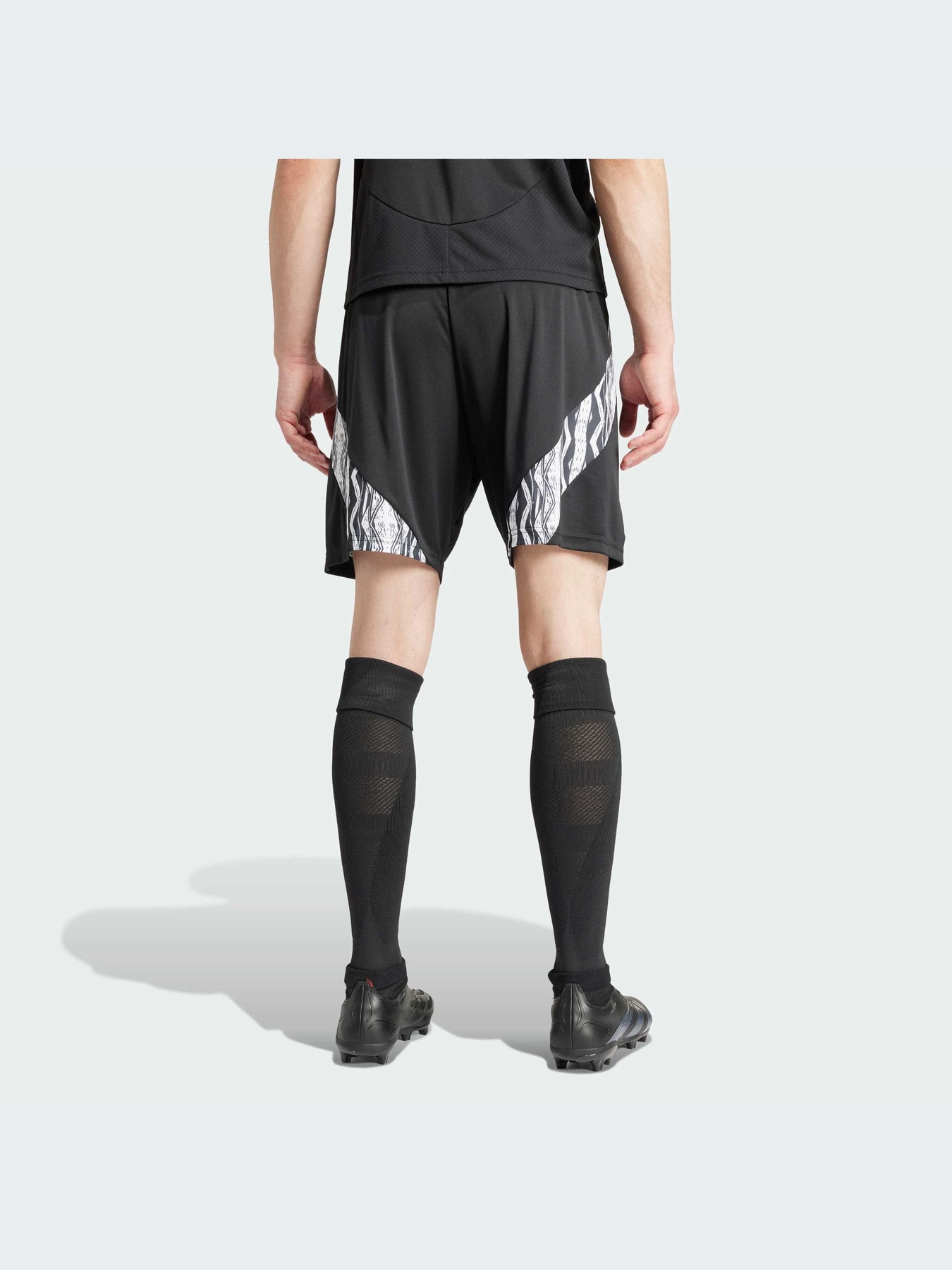 Шорты Adidas модель IT6149 Фото