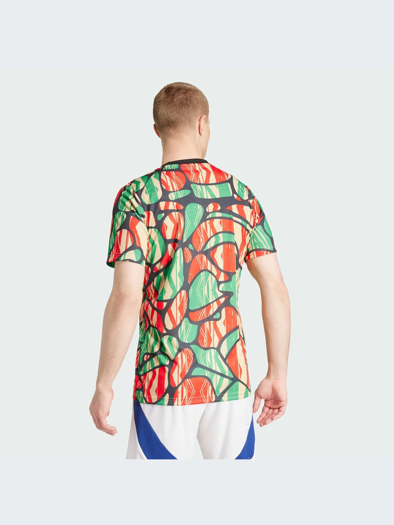 Футболки и поло Adidas модель IS9996 Футболки и поло Adidas модель IS9996 Фото