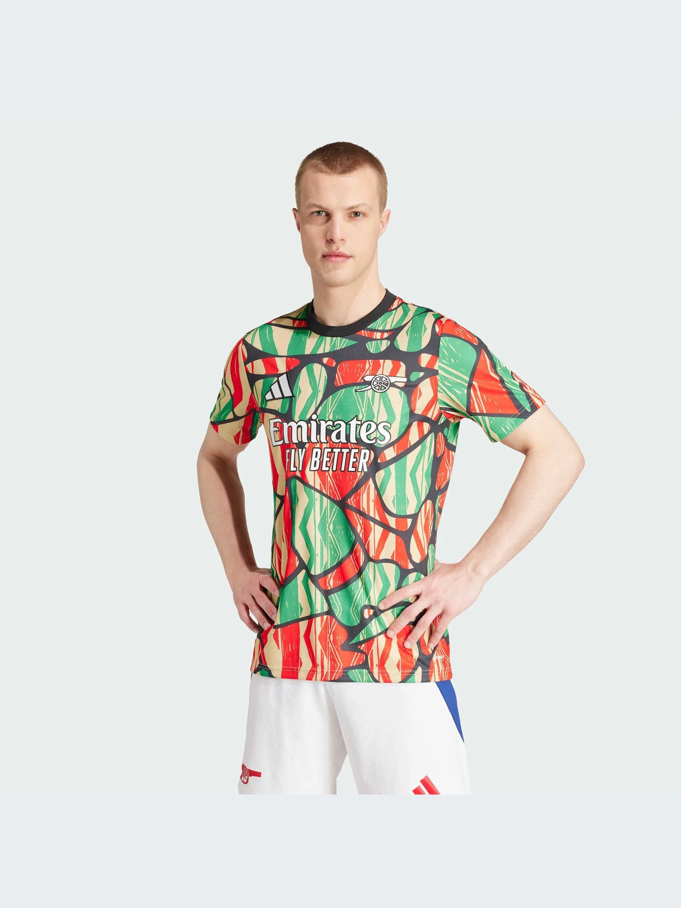 Футболки и поло Adidas модель IS9996 Футболки и поло Adidas модель IS9996 Фото
